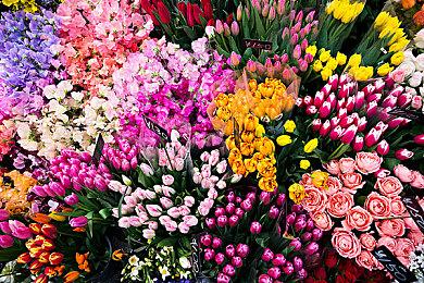 Rogue类弹幕射击MMORPG《村希英雄传》Steam页面上线 支持简中